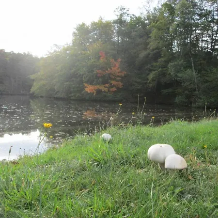Familial Avec Peche, Cascade, Animaux Et Activites Variees, Proche De Vichy Et Le Pal - Fr-1-489-122 Holiday home Barrais-Bussolles