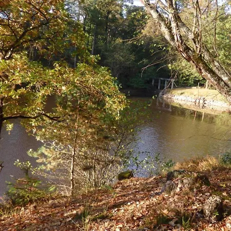 Holiday home Familial Avec Peche, Cascade, Animaux Et Activites Variees, Proche De Vichy Et Le Pal - Fr-1-489-122