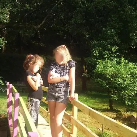 Holiday home Familial Avec Peche, Cascade, Animaux Et Activites Variees, Proche De Vichy Et Le Pal - Fr-1-489-122