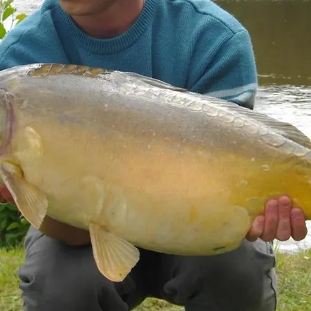 Familial Avec Peche, Cascade, Animaux Et Activites Variees, Proche De Vichy Et Le Pal - Fr-1-489-122 Barrais-Bussolles