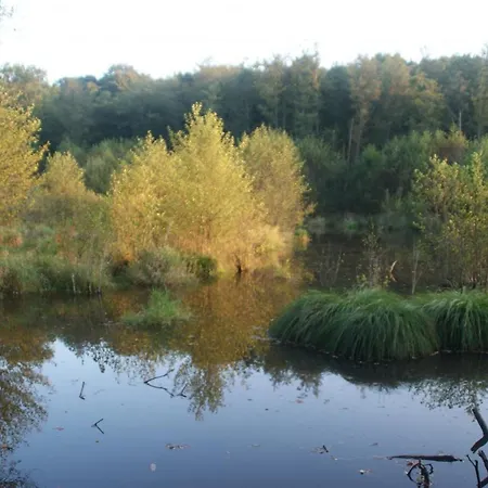 En Pleine Nature Avec Wifi, Animaux Acceptes - Fr-1-489-122 Landhaus