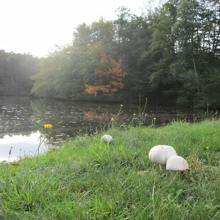 Semesterbostad En Pleine Nature Avec Wifi, Animaux Acceptes - Fr-1-489-122