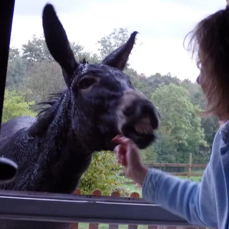 En Pleine Nature Avec Wifi, Animaux Acceptes - Fr-1-489-122 Semesterbostad Barrais-Bussolles