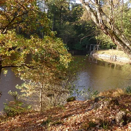 En Pleine Nature Avec Wifi, Animaux Acceptes - Fr-1-489-122 Barrais-Bussolles