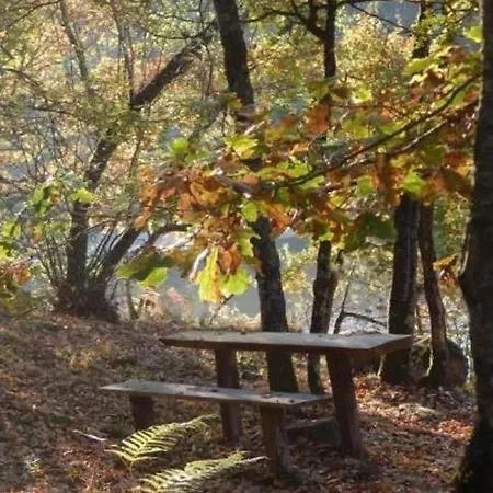 En Pleine Nature Avec Wifi, Animaux Acceptes - Fr-1-489-122 * Barrais-Bussolles