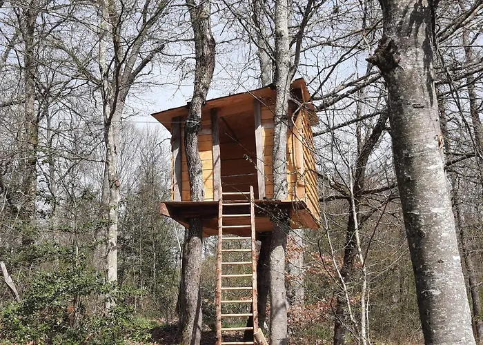 En Pleine Nature Avec Wifi, Animaux Acceptes - Fr-1-489-122 *