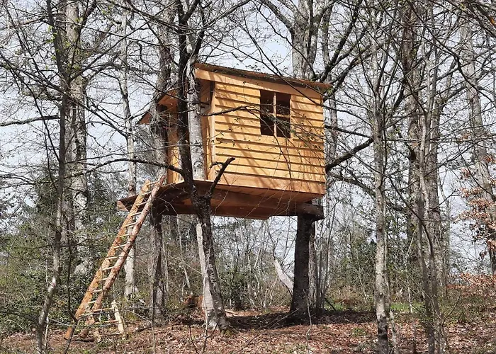 En Pleine Nature Avec Wifi, Animaux Acceptes - Fr-1-489-122 * Barrais-Bussolles