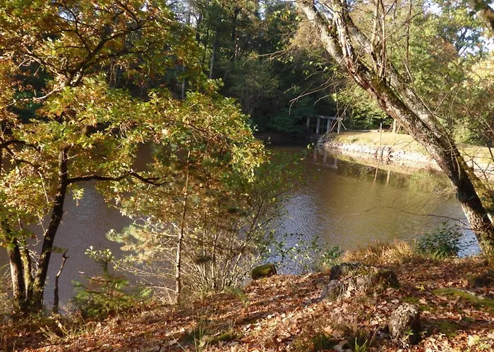 En Pleine Nature Avec Wifi, Animaux Acceptes - Fr-1-489-122 Barrais-Bussolles